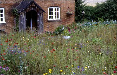 Cottage Garden near Compton, Simon Read, 1996 Surrey Hills Landscape Assessment © Countryside Agency/Simon Read