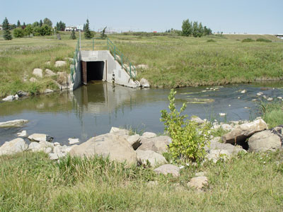 Outfall N30 into Nose Creek, Laycock Park, Calgary, Canada. Photo: Westhoff Engineering Resources, Inc.