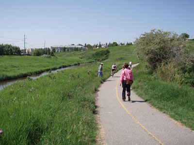 Regional pathway in Laycock Park, Calgary, Canada. Photo: Westhoff Engineering Resources, Inc.
