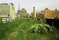 Walking the High Line. Photo copyright Joel Sternfeld 2000
