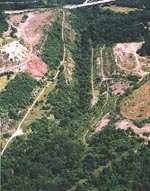 Aerial View, Nine Mile Run, 1997, Pittsburgh, USA.