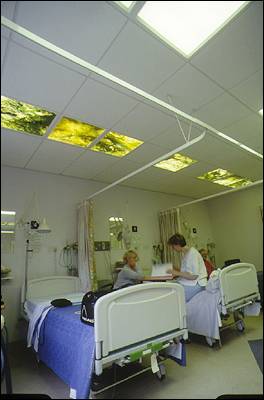 Ceiling Photography Feature in situ, Kate Mellor, 1997 Day Case Unit, Jubilee Building, Leeds General Infirmary Photo: Jerry Hardman-Jones