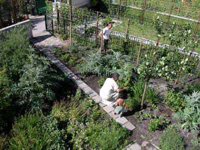 Collective garden. Project by Rudy J. Luijters. Photo copyright Irene den Hartoog