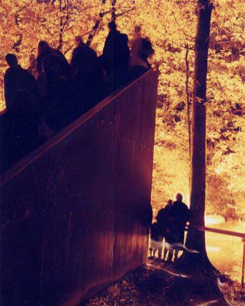 Viewing Pyrophones, Blissbody, 2001, LightShift, Forest of Dean.  Photo: Martin Avery © FDST.