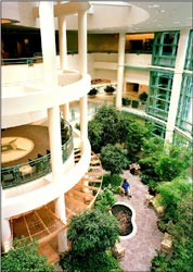 Atrium garden, Bronson Hospital, Kalamazoo, Michigan
