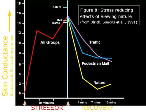 Graph showing effects of viewing nature on recovery from stress