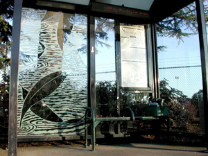 Image: Sandblasted glass bus shelter