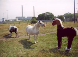 A Horse's Tail, project by muf, Tilbury 2003. Client: Countryside Agency Local Heritage Initiative. 
