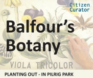  Balfour’s Botany - Planting Out In Pilrig Park