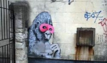 Banksy's Gorilla in a Pink Mask