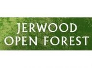 Jerwood Open Forest