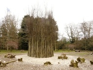 2000 Year Old Lime - Westonbirt Arboretum 2013, Lime tree stems steel frame and galvanized wire. 5m x 11m