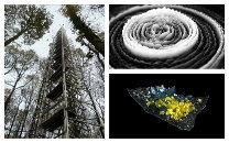 (Left) 26m high Flux Tower in Alice Holt Forest, (Top Right) 20Hz sculptural forms generated directly from sound, (Bottom Right) Crystallised is a series of digital mineral crystal animations generated and animated by sound recordings of ice crystals.