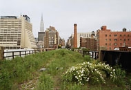 The High Line, New York. Photo: Joel Sternfeld 2000